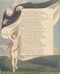 Les pensées nocturnes de Young, Page 46, Où le sens court sauvage, libéré de la chaîne de la raison - William Blake